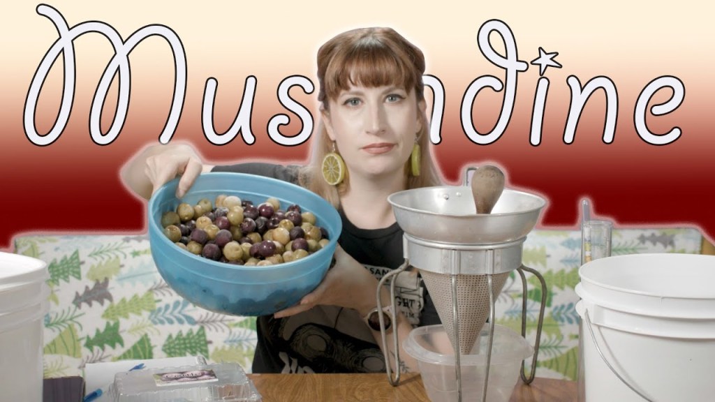 Strawberry Muscadine Elderflower&nbsp;Pyment